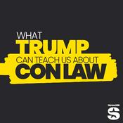 What Trump Can Teach Us About Con Law