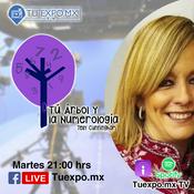Tú Árbol y la Numerología