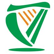 土豆的108种吃法