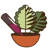 Two Tipsy Plants Podcast