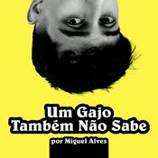 Um Gajo Também Não Sabe