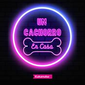 Un cachorro en casa