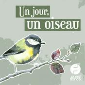 Un jour, un oiseau