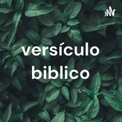 versículo biblico