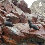 Viajando Por Perú
