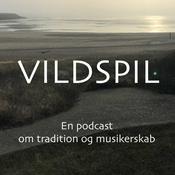 Vildspil