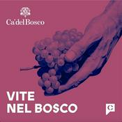 Vite nel bosco