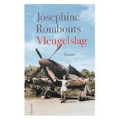 Vleugelslag