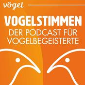 Vogelstimmen