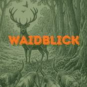 WAIDBLICK