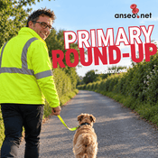 Anseo.net Primary Round-Up with Simon Lewis