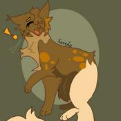 🎱✨ Warrior cats with Hazelbranch ✨🎱