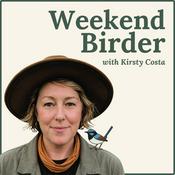 Weekend Birder
