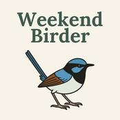 Weekend Birder