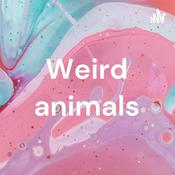 Weird animals