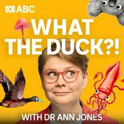 What The Duck?!