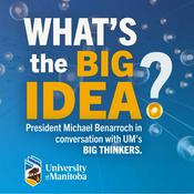 What's the Big Idea