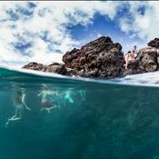 White Cube / Black Coffee