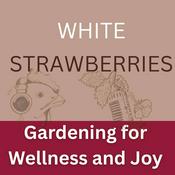 Gardening for Wellness & Joy: White Strawberries
