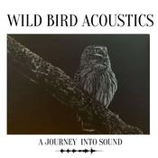 Wild Bird Acoustics