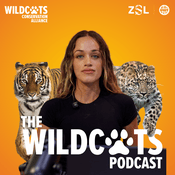 WildCats Podcast