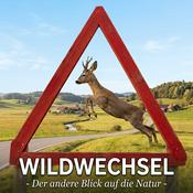 Wildwechsel - Der andere Blick auf die Natur