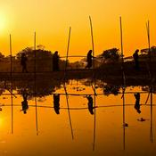 "Words of Life", "Good News", "Gospel Songs" in Main Languages Spoken in Bangladesh // "এর শব্দ লাইফ ", "ভাল সংবাদ", "গসপেল গান" - ইন বাংলাদেশে প্রধান ভাষা //