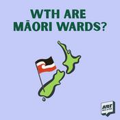 WTH Are Māori Wards?