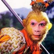 西游记精编版|名著|2023