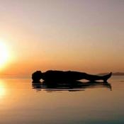 Yoga Nidra - Meditazione guidata
