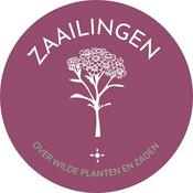 Zaailingen