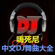 中文DJ舞曲大全