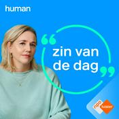 Zin van de dag