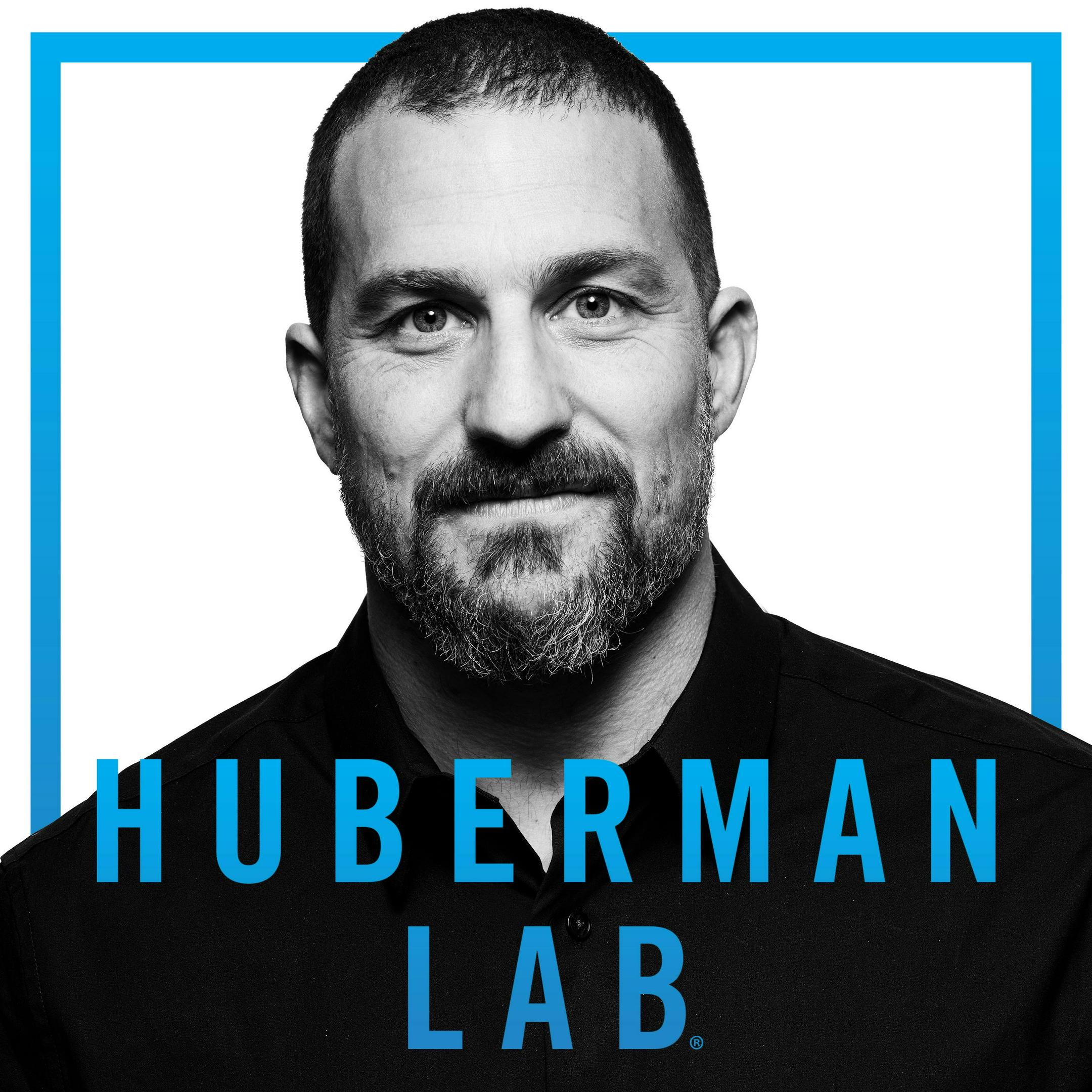 huberman l carnitine What are the benefits of carnitine? Designs for Health Acetyl L-Carnitine
